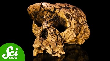 A Researcher Hid This Fossil For Decades. Here’s Why