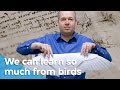 Flying like a bird (Big Questions 3/8) | VPRO Documentary