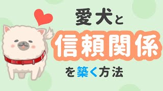 愛犬に信頼されない飼い主は●●がない!?愛犬と信頼関係を築くには？