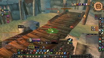 Turtle WOW,retribution paladin in Arena - the rouge made the warrior stealthed....