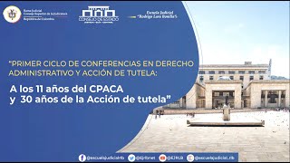 10  A los 11 años del CPACA y 30 años de la Acción de Tutela   Control de constitucionalidad CE