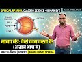 कक्षा 10//विज्ञान//मानव नेत्र:संरचना//नेत्र दोष Rp Sahu