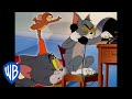 Tom & Jerry em Português | Brasil | O Guia de Curtas Indicados ao Oscar | WB Kids
