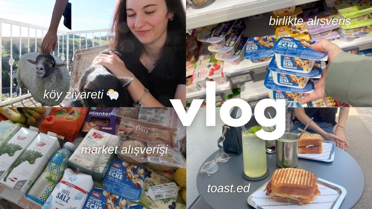 Vlog | Viyana market alışverişi, Ikea, H&M home, Köydeki koyunlar 🐑, Türk tostçu 🍞
