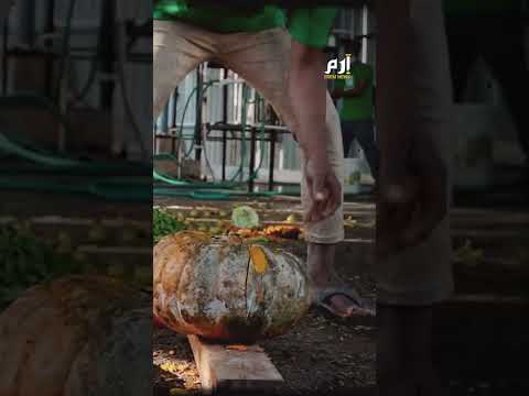 تحويل قشور الفاكهة إلى طاقة ابتكار أفريقي يحو ل القمامة إلى كنز