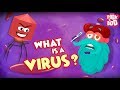 What is a virus   best learnings for kids  dr binocs  peekaboo kidz