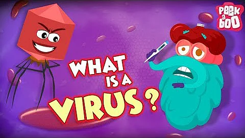 What Is A Virus ? | Best Learning Videos For Kids | Dr Binocs | Peekaboo Kidz - DayDayNews