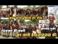 राजस्थान के किसानों का बेस्ट फीड मैनेजमेंट बनाता है बकरी को श्रेष्ठ | goat farming rajasthan