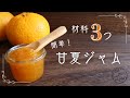 材料3つ 簡単!甘夏ジャム