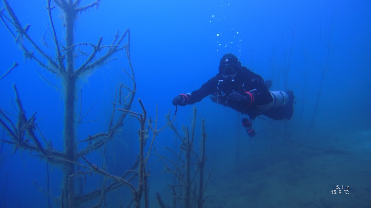 Murner See · Oberpfalz, Bavaria · May 2020