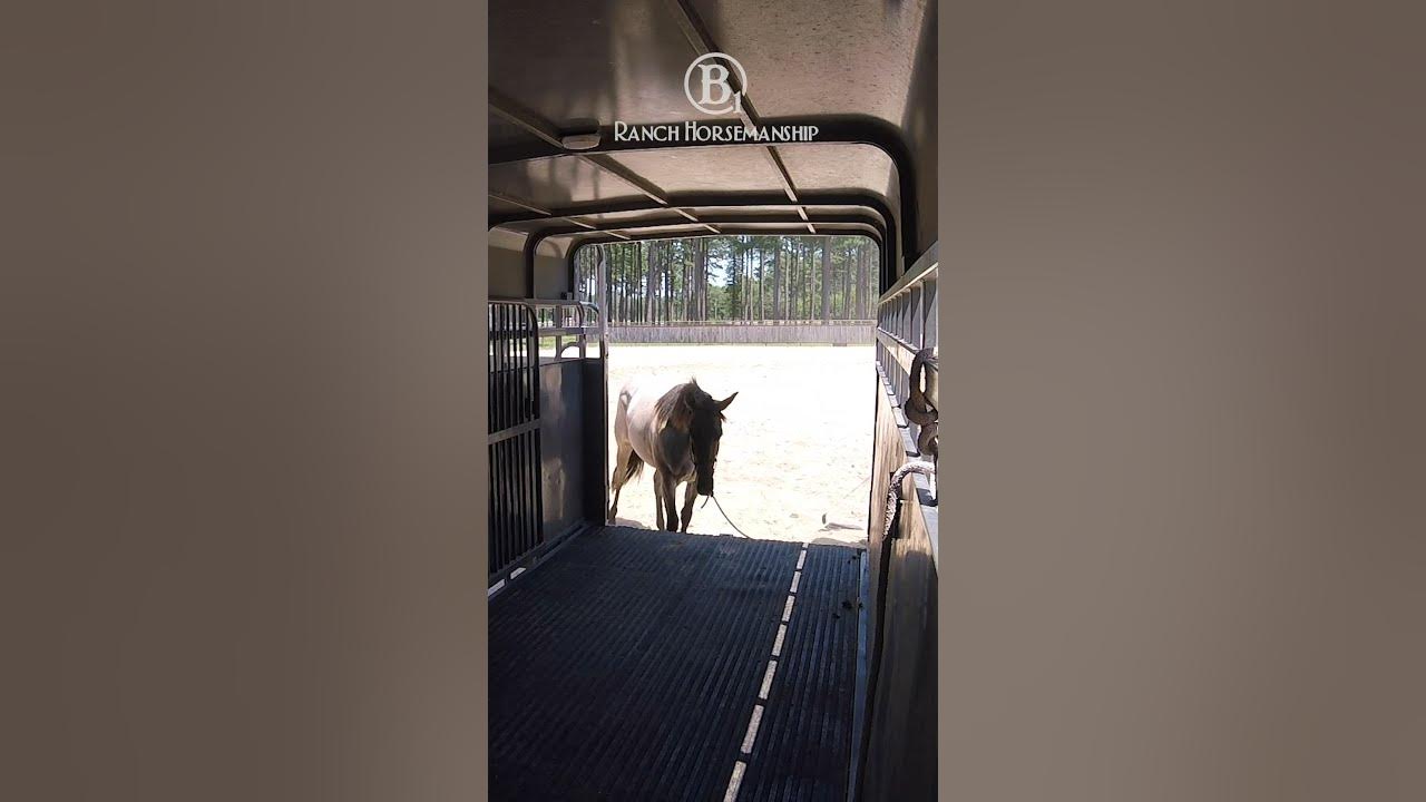 how-to-get-a-horse-to-load-itself-on-the-trailer-9-youtube