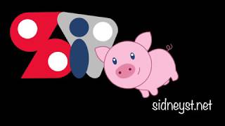 Hampshire Pigs