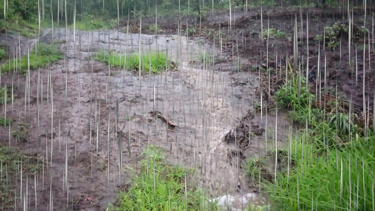 Heavy Rain And Flowing Water On Steep Forest Road. Indonesia_water is ...