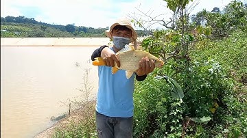 Câu Cá Chép Khủng Tại Đập Tự Nhiên Tại Thôn 3 xã Eakhal huyện Eahleo Tỉnh Đắk Lắk