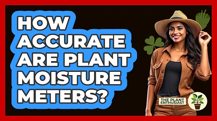 How Accurate Are Plant Moisture Meters?