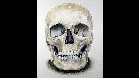 How I Draw a skull, Hyper realistic art