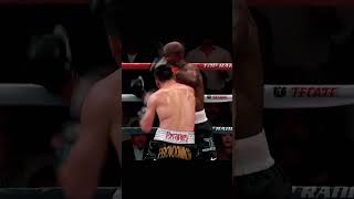 Timothy Bradley Getting Rocked boxing