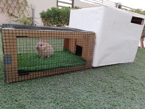 فيديو: كيفية صنع منزل للأرنب