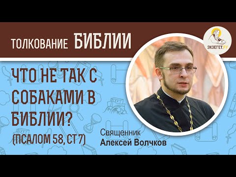 Что не так с собаками в Библии? (Псалтирь 58:7) Священник Алексей Волчков. Толкование Ветхого Завета