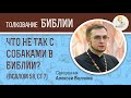 Что не так с собаками в Библии? (Псалтирь 58:7) Священник Алексей Волчков. Толкование Ветхого Завета