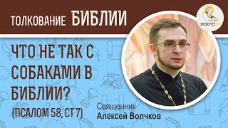 Что не так с собаками в Библии? (Псалтирь 58:7) Священник Алексей Волчков. Толкование Ветхого Завета