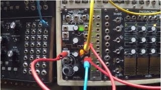 Makes Noise Richter Wogglebug - The beating heart of my modular system Profile