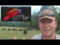 Managing pastures &amp; cattle during drought. Adjustments for those dry days. #cattle #virginia #beef