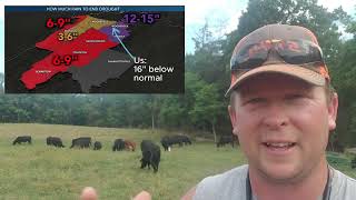 Managing pastures & cattle during drought. Adjustments for those dry days. #cattle #virginia #beef by FarmBuilder 3,022 views 8 months ago 10 minutes, 16 seconds