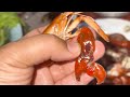 Unbelievable prawns 