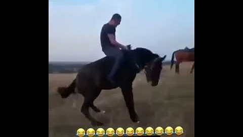 Дерзкий конь сбрасывает наездника
