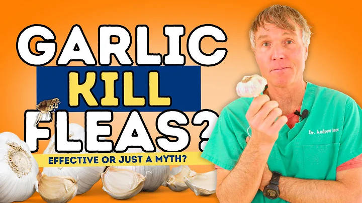 Does Garlic Really Work as a Flea Repellent? Safe Dosages & DIY Spray!