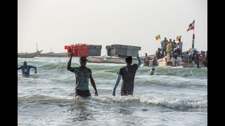 Fish processing in Kafountine : a driver of sub-regional integration