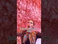 Chiharu Shiota Chiharushiota Thehammermuseum Installationart Artreview Arthistory Artlessons Chiharu Shiota Chiharushiota Thehammermuseum Installationart Artreview Arthistory Artlessons