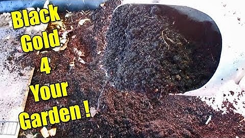 The Fastest & Easiest Way To Harvest Worm Castings At Home!