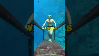 Lagoa Misteriosa -The Bottomless Blue of Brazil #TravelBrazil #NatureWonders #HiddenGems #Adventure