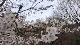 上郷・森の家 見晴し坂 上郷・森の家 見晴し坂