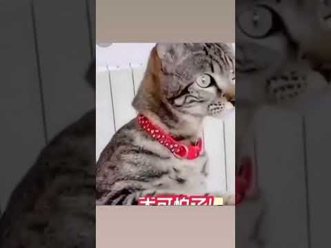 #videoshort