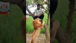 My Friend The Lion 🦁 | Heart Touching Short Story | Emotional Friendship | Sad Short Film