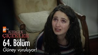 Güney vuruluyor! - Kırgın Çiçekler 64. Bölüm - atv