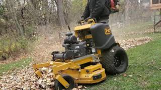 Fall Cleanup 2021 Round Two