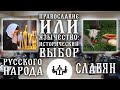 Православие или язычество: исторический выбор славян и Русского народа. Диспут.