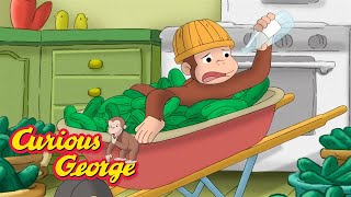 george makes pickles curious george kids cartoon kids movies