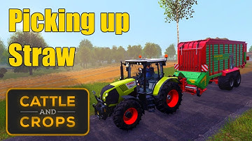 Cattle and Crops | Picking up straw | Logitech G27 wheel and pedals with TrackIR