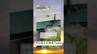 俺の家のハンガーでマイホーム建てるなやwwww #おもしろ #元気になる動画 #鳥の巣
