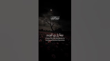 اكتب شيء تؤجر عليه ❤️🎧 قران كريم | راحة نفسية