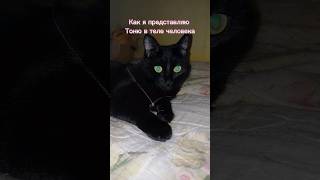 Тоня #Kpop #Рекомендации #Кот #Кошка #Котики #Питомцы #Животные #Рисунок #Арт #Аниме #Картина #8Ши