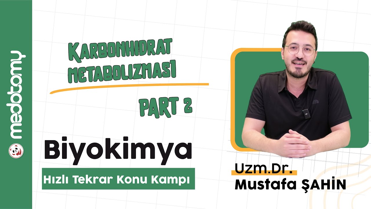 7 2   Karbonhidrat Metabolizması