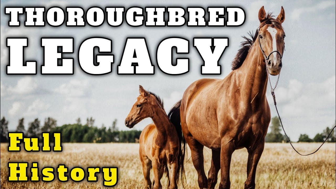 The History of Thoroughbred Horses: Speed Power and Prestige 