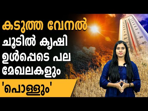 കടുത്ത വേനൽ ചൂടിൽ കൃഷി ഉൾപ്പെടെ പല മേഖലകളും 'പൊള്ളും' @bosswallahfarmingmalayalam