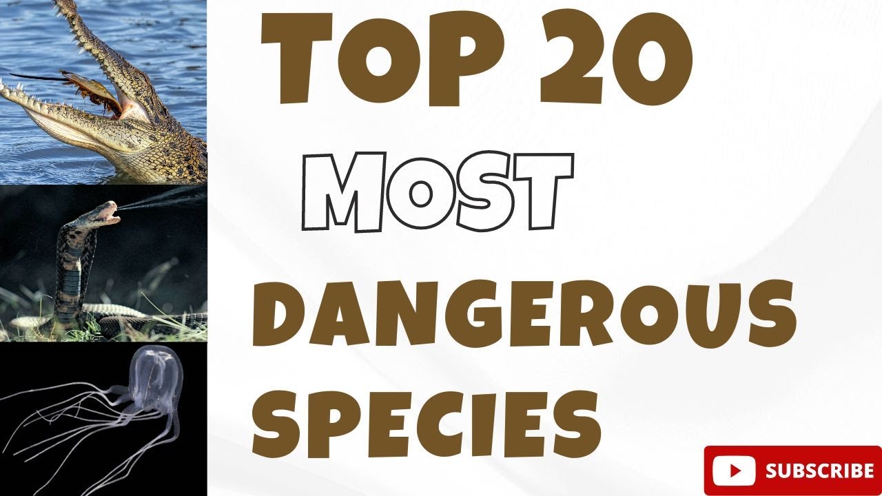 Most Dangerous Species In Utah